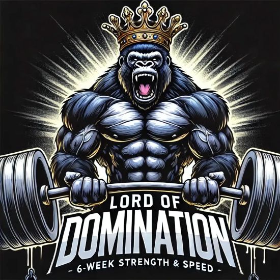 [Иван Загорский] Лорд Доминации 1.0 (2025)_0.jpg